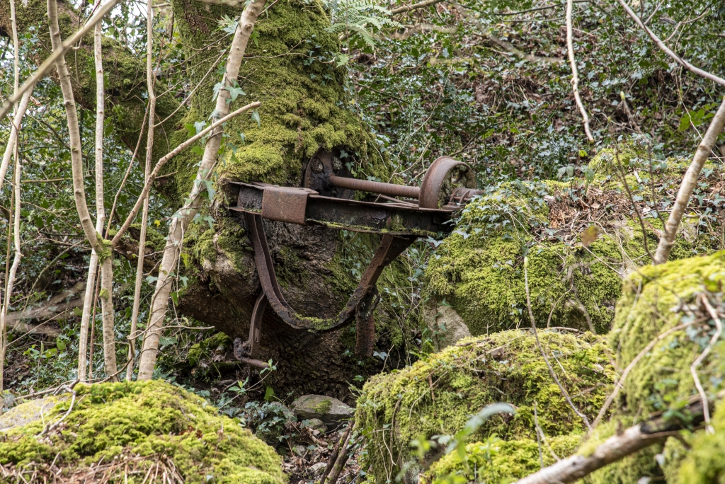 Wagon reclaimed by nature, submitted by ilt on 27-03-2026.
© Iain Taylor Wagon reclaimed by nature
